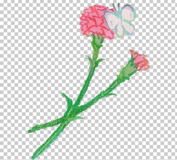 Carnation Petal Flower Rose PNG, Clipart, Blossom, Book Illustration, Carnation, Carnations, Cut Flowers Free PNG Download