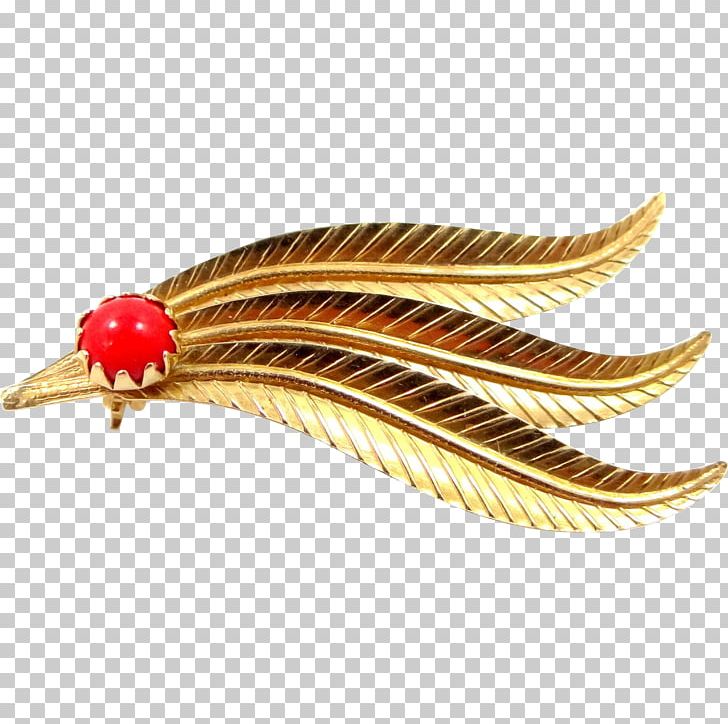 Clothing Accessories Feather Jewellery Gold Coral PNG, Clipart, Animals, Clothing Accessories, Coral, Fashion, Fashion Accessory Free PNG Download