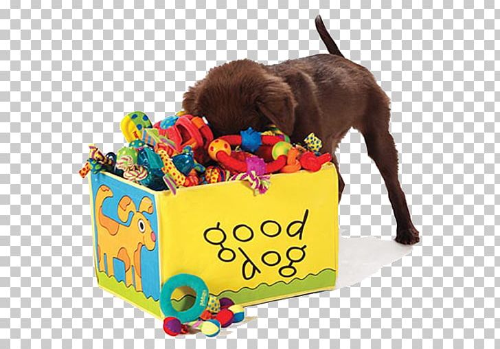 Dog Toys Puppy Dog Crate PNG, Clipart, Animals, Animal Training, Carnivoran, Cat, Cat Play And Toys Free PNG Download
