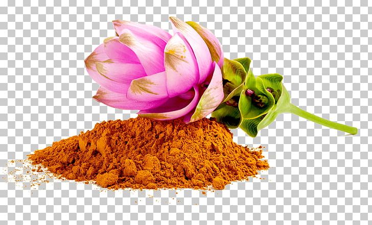 Turmeric Curcumin Organic Food Spice Siam Tulip PNG, Clipart, Curcuma, Curcumin, Curcuminoid, Flower, Food Free PNG Download