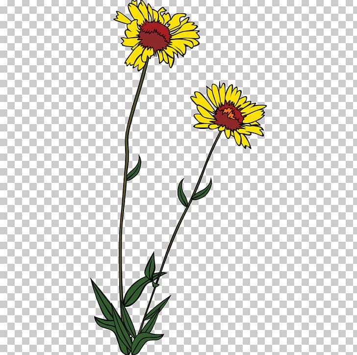 Wildflower PNG, Clipart, Annual Plant, Calendula, Chamaemelum Nobile, Chrysanths, Computer Icons Free PNG Download