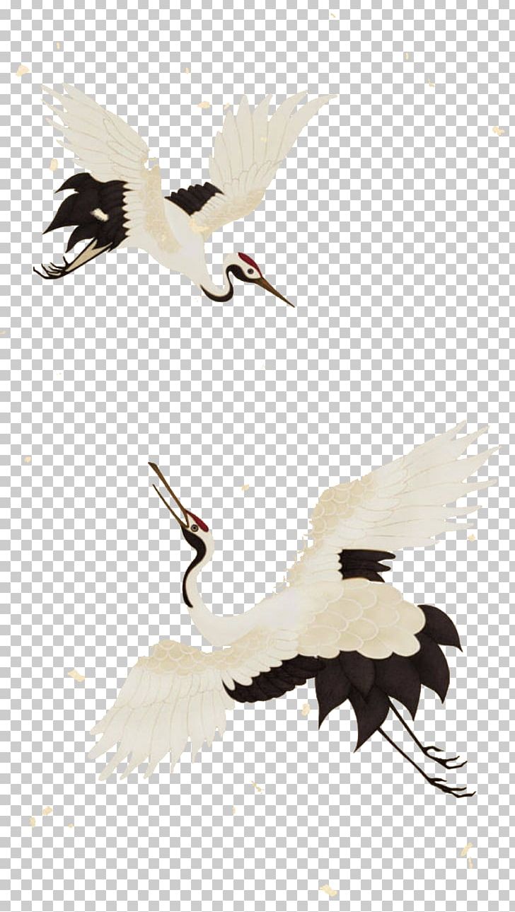 Crane Illustration PNG, Clipart, Animal, Antiquity, Beak, Bird, Ciconiiformes Free PNG Download