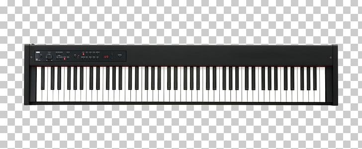 Digital Piano Musical Instruments Stage Piano Keyboard PNG, Clipart, Action, Casio Privia Px160, Celesta, Digital Piano, Electronic Device Free PNG Download