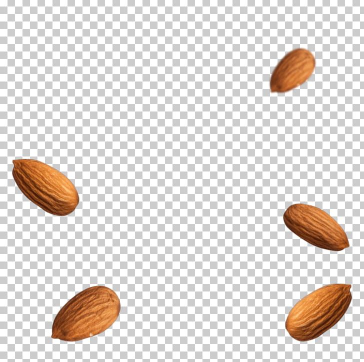 Nut Superfood Seed PNG, Clipart, Almonds, Miscellaneous, Nut, Nuts Seeds, Others Free PNG Download
