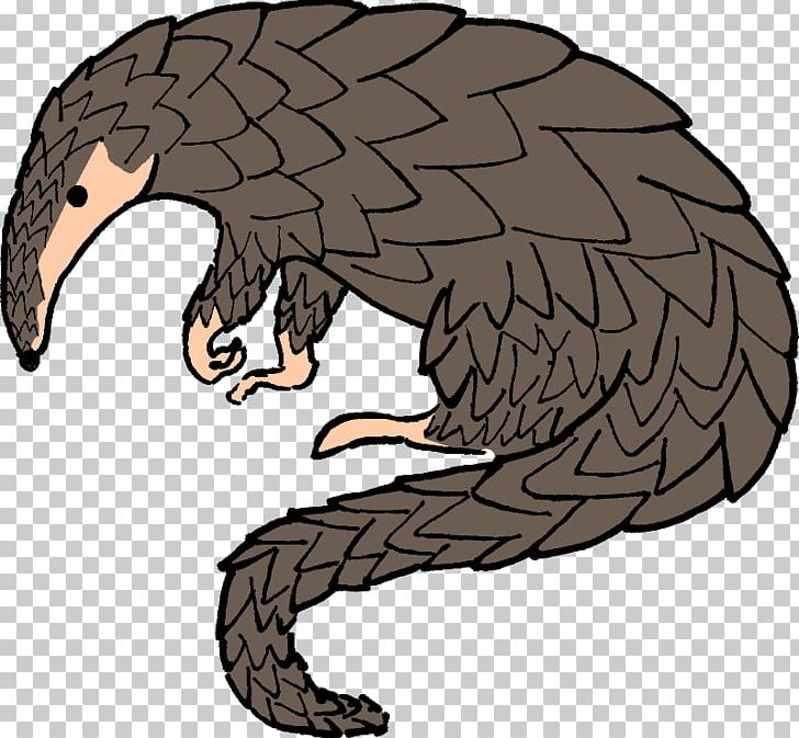 Anteater Armadillo Pangolins PNG, Clipart, Anteater, Armadillo, Beak, Bird, Bird Of Prey Free PNG Download