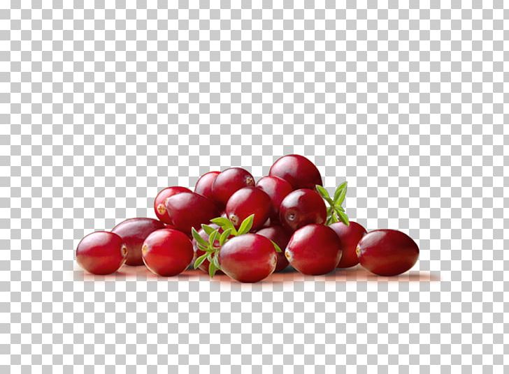 Cranberry Juice Dried Cranberry Bilberry PNG, Clipart, Blueberry, Cherry, Cran, Diet Food, Drink Free PNG Download