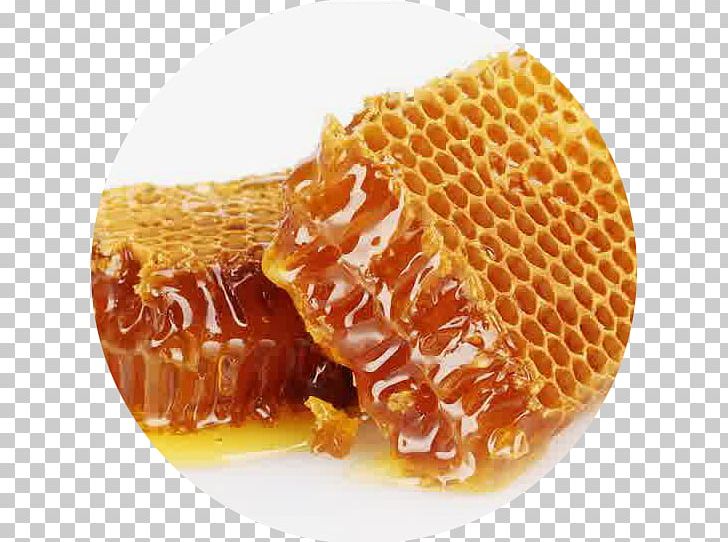 Honey Bee Honey Bee Mead Nectar PNG, Clipart, Artificial Bee Colony Algorithm, Bal, Bee, Bee Honey, Beekeeper Free PNG Download