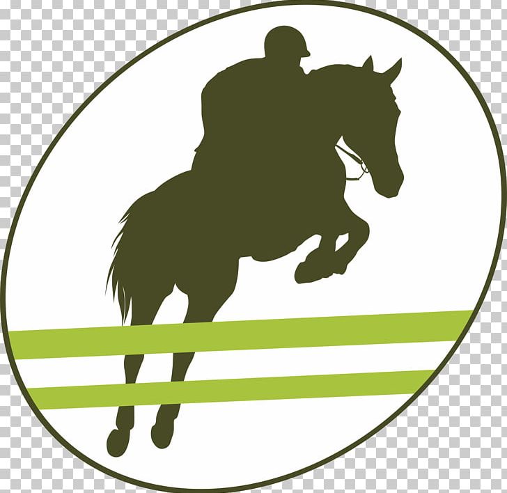 Horse Racing Equestrian PNG, Clipart, Animals, Area, Barrel Racing, Collection, Dressage Free PNG Download
