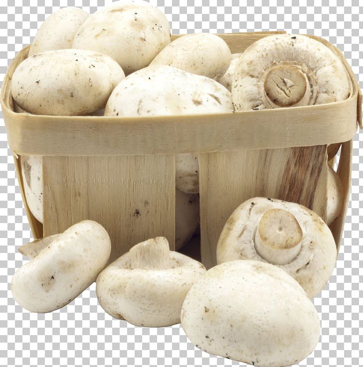 Snow Fungus Diabetic Diet Edible Mushroom PNG, Clipart, Agaricaceae, Agaricus, Champignon Mushroom, Cloud Ear Fungus, Common Mushroom Free PNG Download