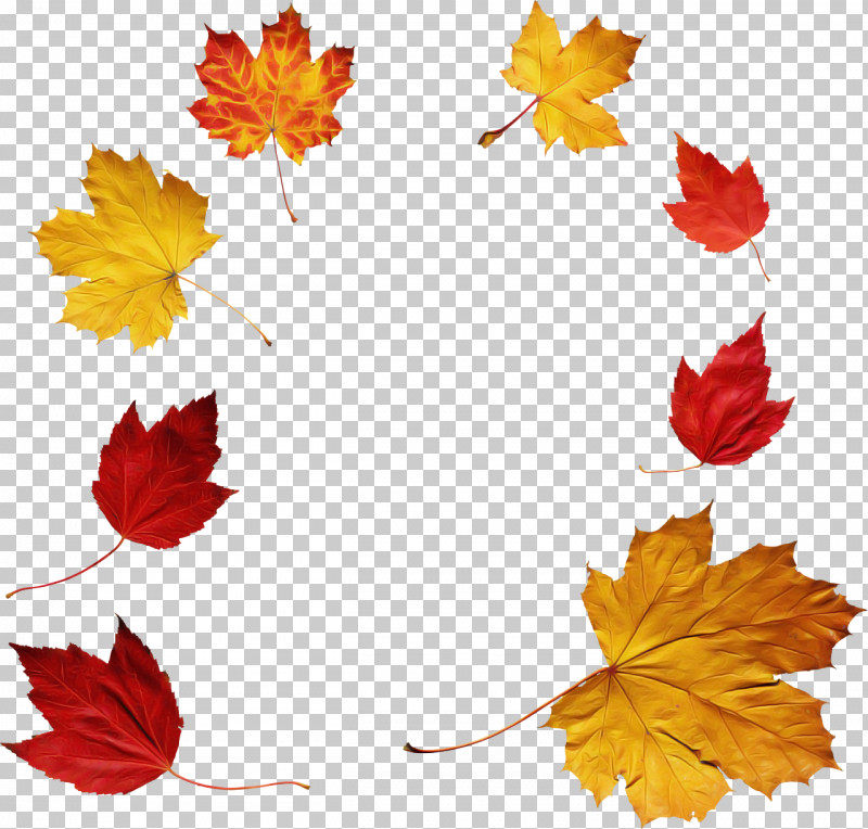 Maple Leaf PNG, Clipart, Autumn Leaf Color, Color, Leaf, Maple Leaf, Plants Free PNG Download