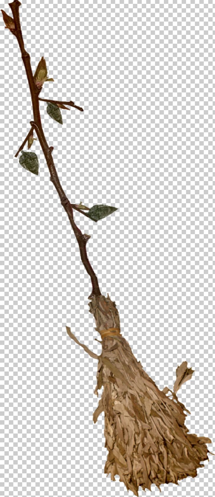 Witch's Broom Besom PNG, Clipart,  Free PNG Download