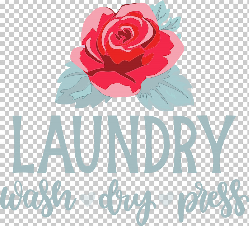 Rose PNG, Clipart, Dry, Flower, Laundry, Paint, Painting Free PNG Download