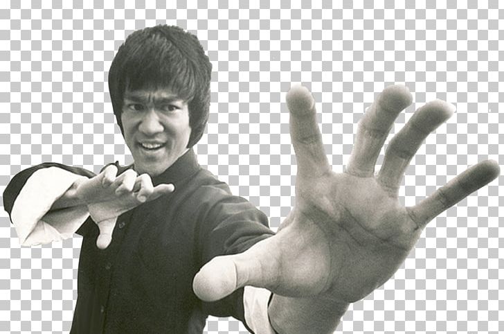 Bruce Lee PNG, Clipart, Bruce Lee Free PNG Download