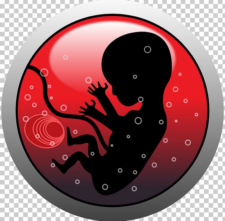 Fetus Human Embryogenesis PNG, Clipart, Abortion, Embryo, Fetus, Fictional Character, Human Embryogenesis Free PNG Download