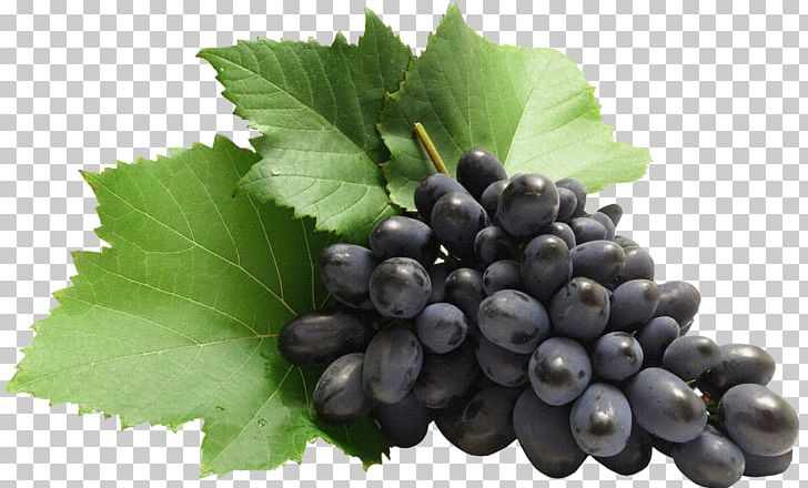 Grape PNG, Clipart, Berry, Bilberry, Blackcurrant, Blueberry, Climacteric Free PNG Download