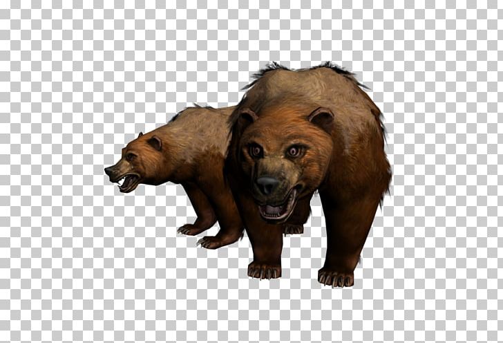 Bear Cat Lion Mammal Carnivora PNG, Clipart, 3d Computer Graphics, Animal, Animals, Bear, Big Cat Free PNG Download