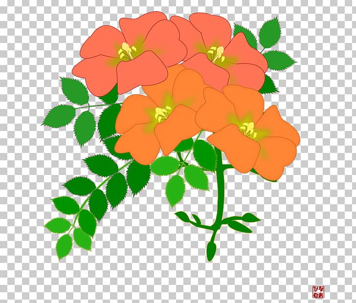 Campsis Grandiflora Cut Flowers Floral Design PNG, Clipart, Annual Plant, Branch, Campsis Grandiflora, Cut Flowers, Flora Free PNG Download