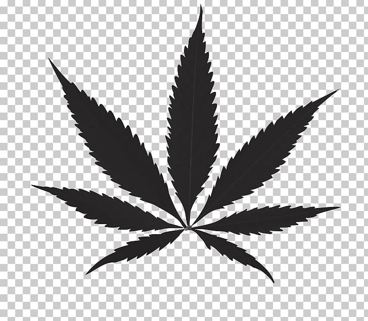Cannabis PNG, Clipart, Black And White, Cannabinol, Cannabis, Clip Art, Hashish Free PNG Download