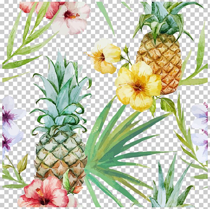 Cuisine Of Hawaii Pineapple PNG, Clipart, Bromeliaceae, Coloring Book, Elements, Flower, Flowering Plant Free PNG Download