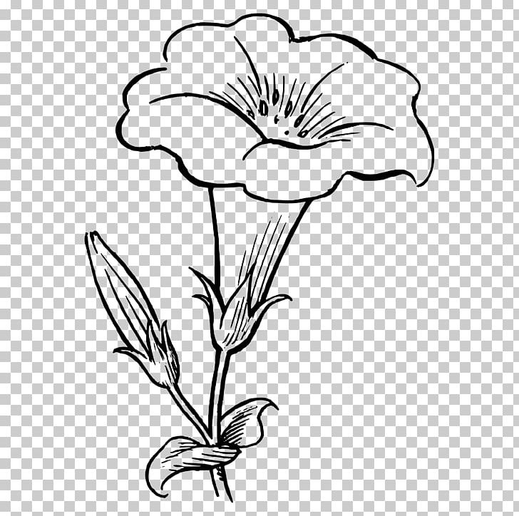Flower Coloring Book PNG, Clipart, Artwork, Black And White, Blue, Color, Coloring Free PNG Download