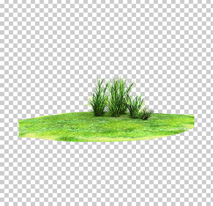Lawn Rendering PNG, Clipart, 3d Rendering, Desktop Wallpaper, Deviantart, Grass, Grass Family Free PNG Download