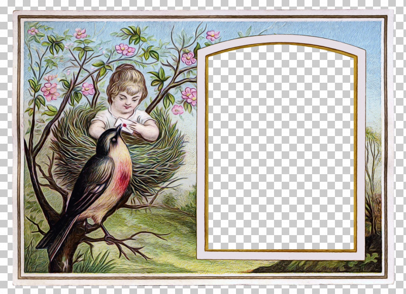 Picture Frame PNG, Clipart, Biology, Birds, Flora, Flower, Meter Free PNG Download