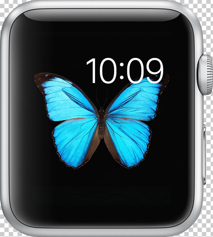 Apple Watch Series 1 Apple Enclosure Material: Stainless Steel Material (watch Strap): L... PNG, Clipart, Apple, Apple Watch, Apple Watch Clips, Apple Watch Original, Apple Watch Series 1 Free PNG Download