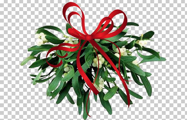 Mistletoe Christmas PNG, Clipart, 6pm, Christmas, Christmas Decoration, Christmas Gift, Cut Flowers Free PNG Download