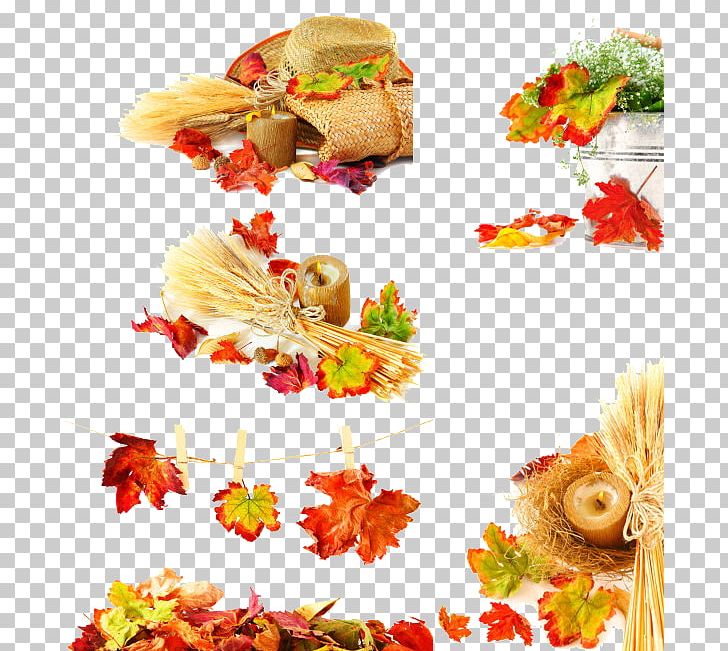 Autumn Harvest PNG, Clipart, Autumn Background, Autumn Harvest, Autumn Leaf, Autumn Leaf Color, Autumn Leaves Free PNG Download