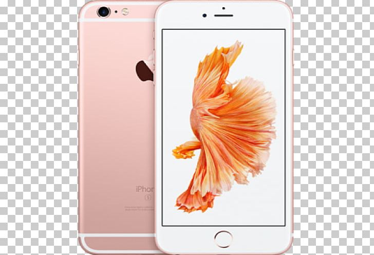 IPhone 6s Plus Apple IPhone 6s IPhone 6 Plus PNG, Clipart, 6 S, Apple, Apple Iphone 6s, Electronic Device, Fruit Nut Free PNG Download