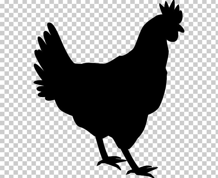 Silkie Shamo Chickens Silhouette Drawing PNG, Clipart, Animals, Art, Beak, Bird, Black And White Free PNG Download