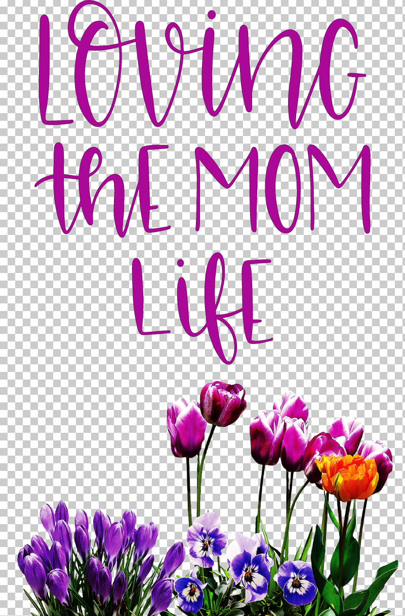 Mothers Day Mothers Day Quote Loving The Mom Life PNG, Clipart, Mothers Day, Pansy Free PNG Download