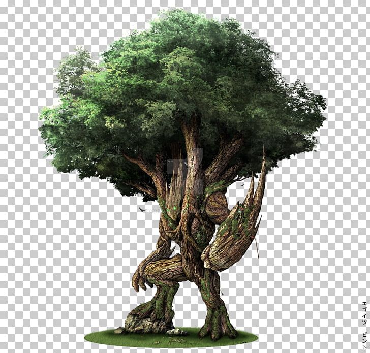 The Lord Of The Rings Gandalf Treebeard Groot Ent PNG, Clipart, Branch, Deviantart, Green Man, Houseplant, Lord Of The Rings Free PNG Download