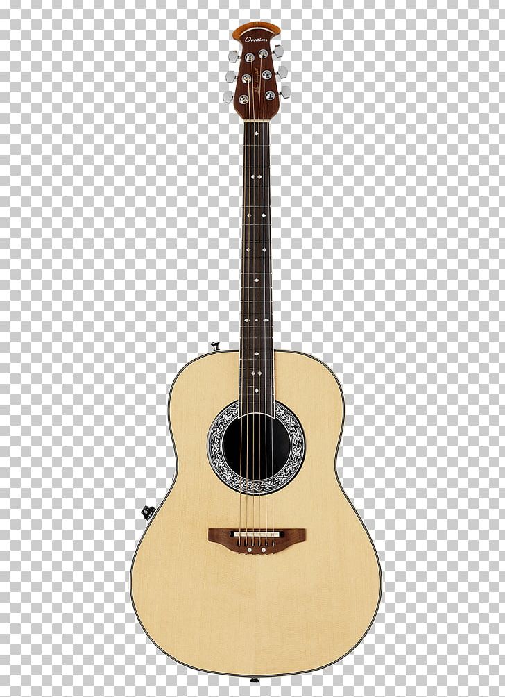 Twelve-string Guitar Steel-string Acoustic Guitar Acoustic-electric Guitar Dreadnought PNG, Clipart, Acoustic Electric Guitar, Classical Guitar, Cuatro, Guitar Accessory, Musician Free PNG Download