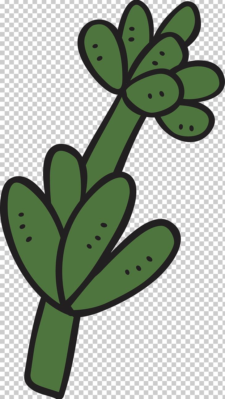 Cartoon Succulent Plant Cactaceae PNG, Clipart, Automobile Parts, Body Parts, Cactus, Cactus Vector, Car Parts Free PNG Download