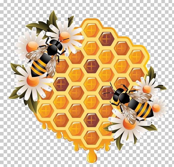 Honey Bee Honeycomb Beehive PNG, Clipart, Bee, Beehive, Bumblebee, Cut Flowers, Drawing Free PNG Download