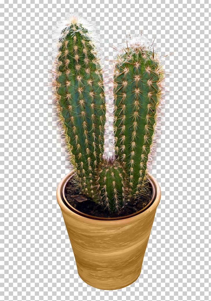 Cactus PNG, Clipart, Cactus Free PNG Download