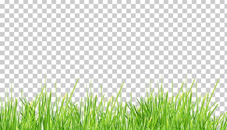 Desktop PNG, Clipart, Belem, Clip Art, Clipping Path, Computer Icons, Computer Wallpaper Free PNG Download