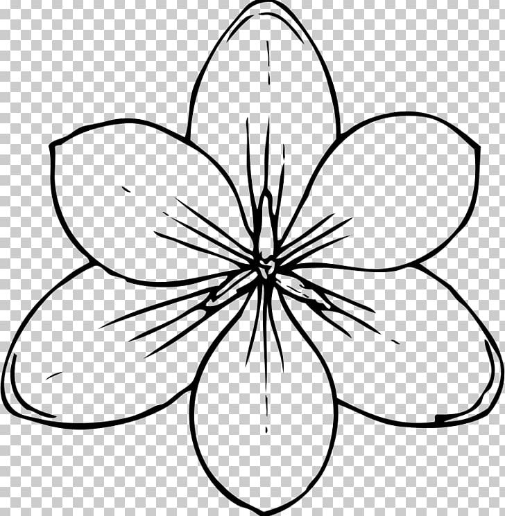 Drawing Flower Crocus PNG, Clipart, Art, Artwork, Black And White, Circle, Common Daisy Free PNG Download