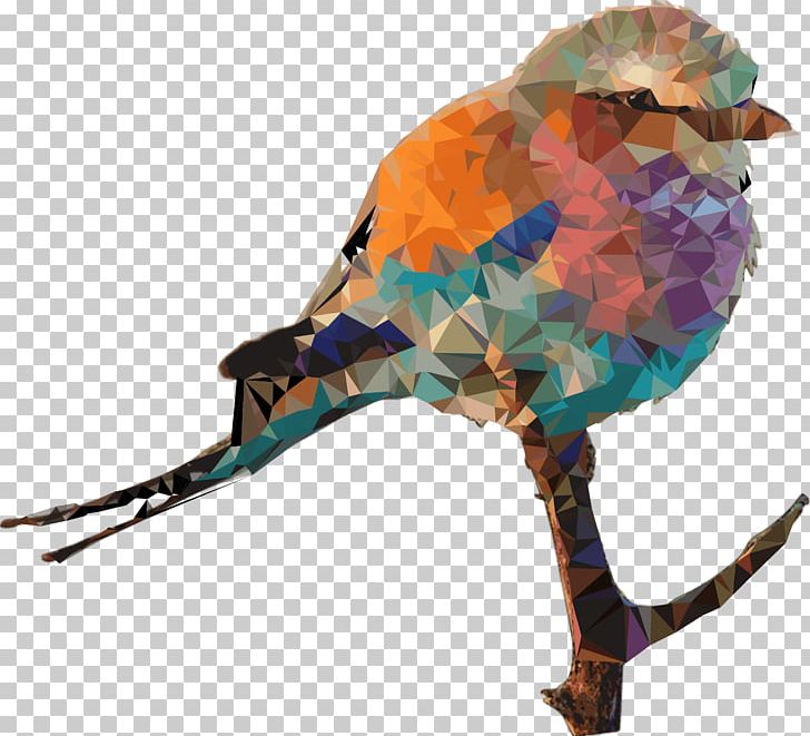 Indian Roller European Roller Bird Lilac-breasted Roller Drawing PNG, Clipart, Animals, Beak, Bird, Bluebird, Coracias Free PNG Download