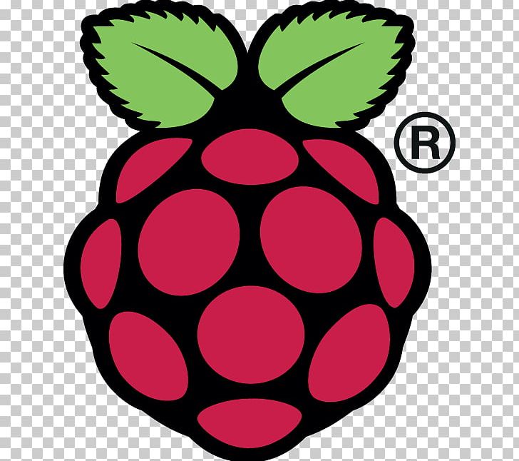 Raspberry Pi Foundation Single-board Computer Gumstix PNG, Clipart, Artwork, Computer, Computer Hardware, Ethernet, Flower Free PNG Download