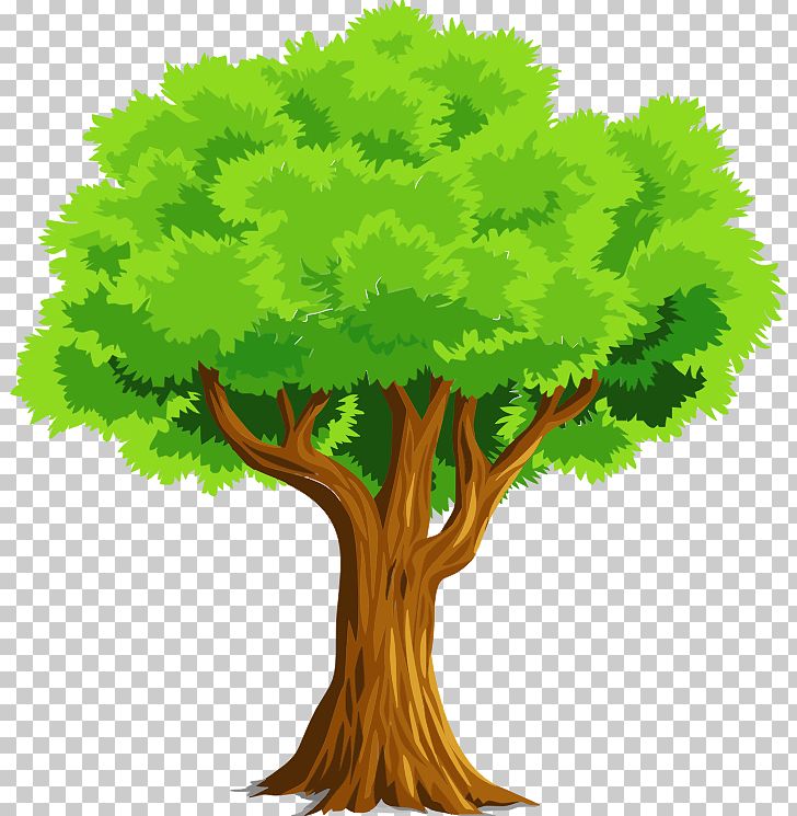 Tree Euclidean PNG, Clipart, Branch, Clipart, Clip Art, Download, Euclidean Vector Free PNG Download