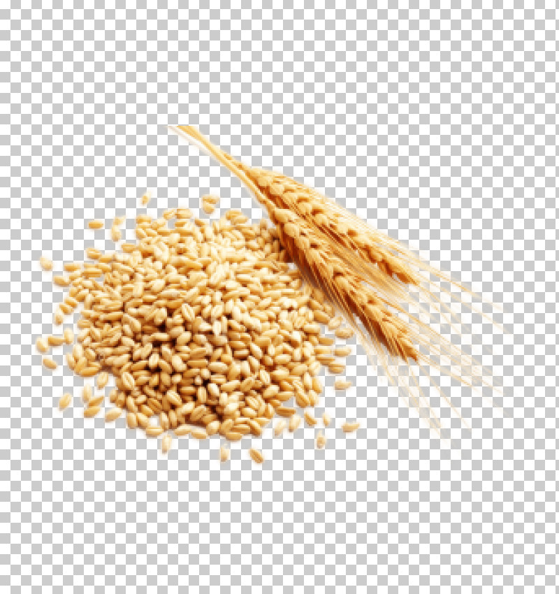 Wheat PNG, Clipart, Amaranth Grain, Barley, Bulgur, Cereal, Cereal Germ Free PNG Download