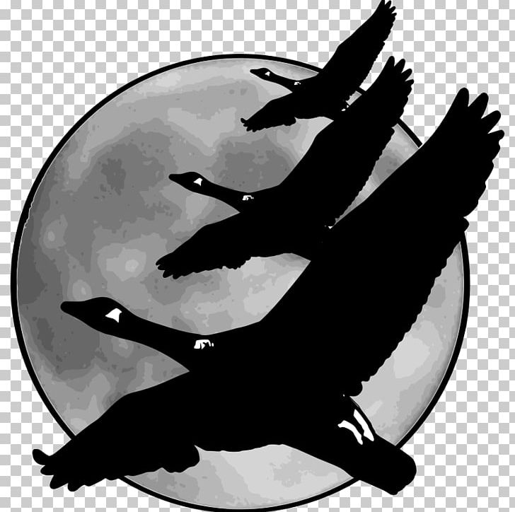 Goose Bird Moon V Formation PNG, Clipart, Beak, Bird, Black And White, Canada Goose, Computer Icons Free PNG Download