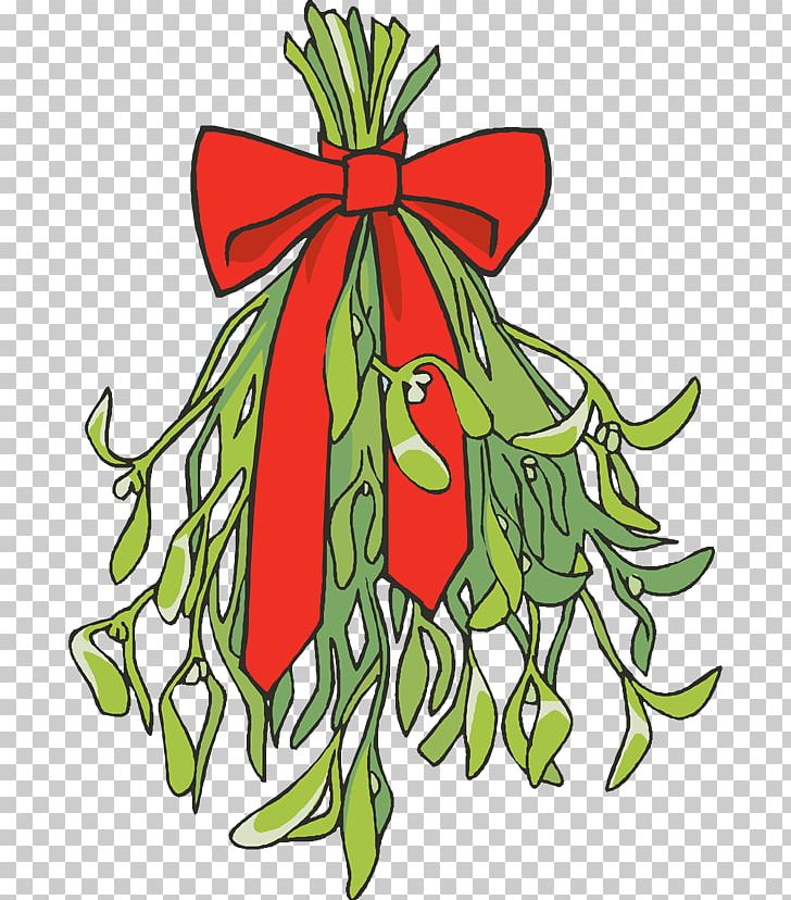 Mistletoe PNG, Clipart, Art, Artwork, Christmas, Christmas Decoration, Christmas Ornament Free PNG Download