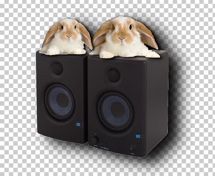 Computer Speakers Holland Lop Subwoofer Sound Box PNG, Clipart,  Free PNG Download