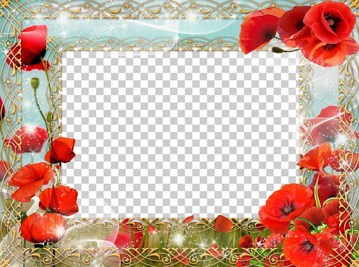 Flower Frames PNG, Clipart, Bmp File Format, Coquelicot, Film Frame, Flora, Floral Design Free PNG Download