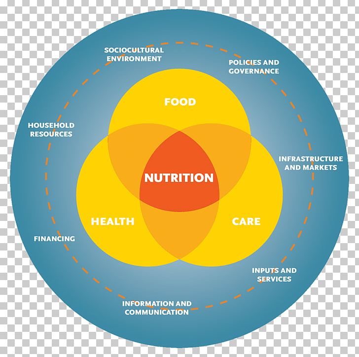 Nutrition Systems Theory Health Diagram PNG, Clipart, Brand, Circle, Concept, Diagram, Food Pyramid Free PNG Download