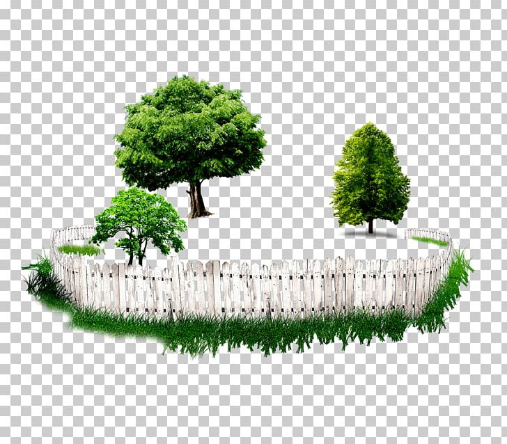 Tree Garden Fence Flowerpot PNG, Clipart, Alcorque, Autumn Tree, Backyard, Bonsai, Christmas Tree Free PNG Download
