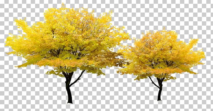 Tree Yellow Pixel PNG, Clipart, 3d Computer Graphics, Adobe Illustrator, Autumn Background, Autumn Leaf, Autumn Leaves Free PNG Download